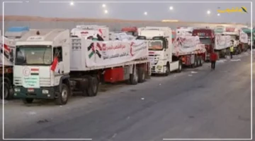 جهود مصرية متواصلة للمرة الـ33.. قافلة مساعدات إنسانية ضخمة تتوجه من مصر إلى قطاع غزة دعم إغاثي عاجل. 1